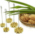 DOK JOK Brass Thai Flower Cookies Mold - Sunflower Crispy Biscuit Mold in Different Sizes (8 cm)