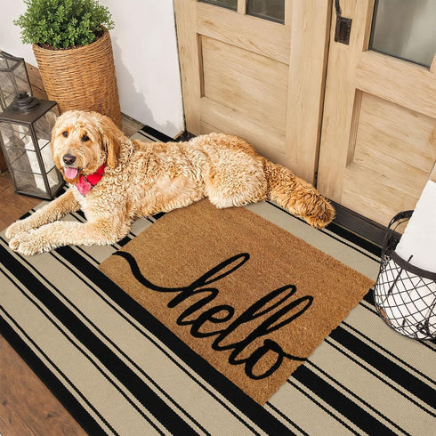 Striped Outdoor Rug 3'x5', Cotton Hand Woven Washable Reversible Layered Door Mat for Entryway Home