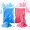 POPUPARTY Gender Reveal Color Powder - 1lb Pink & 1lb Blue Powder,