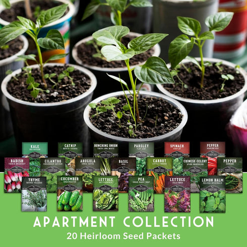 20 Hydroponic & Indoor Garden Seed Kit Compact Heirloom Vegetable & Herb Varieties | Apartment, Small-Space, Patio