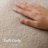 Foindtower Pack of 2, Curly Faux Fur Decorative Throw Pillow Covers Soft Fuzzy Plush Cushion Case with Zipper Cozy Pillowcase for Home Living Room Couch Bed Sofa 22 x 22 Inch, Beige