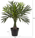 Nearly Natural Mini Areca Palm Artificial Plant 15.5in.