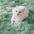 5Ft Sage Green Round Rugs for Boys Bedroom,Shaggy Circle Rug for Kids Room,Fluffy Carpet for Classroom Shag Circular