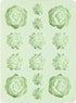 Wilton Silicone Succulents Candy Mould, Mint Color, 14 Holes