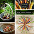 Packet (1) Sow Right Seeds - Rainbow Mix Carrot Seed for Planting - Non-GMO Heirloom with Instructions to Plant a Home