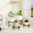 Chinpakden Plant Stand Flower Stand - Metal Plant Holder for Garden Home, Anti-rust Plant Rack for Multiple Plant