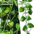 18 Vodolo Pcs Chain Trellis for Climbing Plants Indoor Outdoor,Wall Plant Vine Climbing Support for Potted