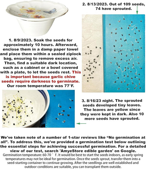 HipGirl 2026 Seed,1g Early Bird-Garlic Chive Seeds for Planting. Heirloom,Non-GMO.Vegetable Seeds for Planting, Herb