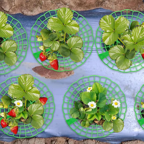 20 Pack 3 Pumtus Strawberry Supports, Strawberry Plant Stand With Sturdy Legs, Strawberry Growing Racks, Strawberry