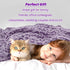 60"x80" Twin Size Blankets for Bed - Lightweight Purple Blanket Throw for Women, Soft Fuzzy Lavender Fleece Bedding