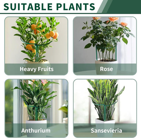 10 Pack 10" 16"(H) Peony Cages and Supports, (W) x Plant Support, Heavy-Duty Metal Plant Support Stakes, Plant Stakes