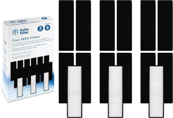 Fette Filter - FLT4825 True HEPA Filter B, Compatible with AC4825 Series Air Purifiers, 3 HEPA & 12 Carbon
