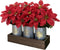 HEMYLU Poinsettias Artificial Christmas Flowers with LED Lights, Red Xmas Table Centerpiece in