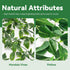 2Pcs Der Rose Fake Plants Artificial Potted Faux Hanging Ivy Vines Plants Indoor for Home Bathroom Shelf Wall Bookshelf