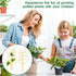 Mozeat Lens 2 Pack 12'' Metal Trellis for Potted Plants, Small Leaf Shape Plant Climber Supports Mini Garden Trellis