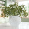 Thiccywoov 6 Pcs Green Faux Berry Stems for Vase, 16 Inch Artificial Greenery