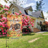 Welcome Fall Dachshund Dog Sunflower Garden Flag, 12x18 Inch Double Sided Vertical Decoration for Outside Holiday