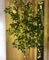 Lighting EVER 66 ft Fairy Lights with Switch, 200 LED Warm White Copper Wire, Waterproof Indoor Outdoor