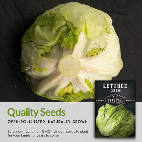 (1 Pack) Iceberg Lettuce Seeds for Planting Crisp Head Lettuce Variety with Crunchy Texture and Sweet Flavor, High