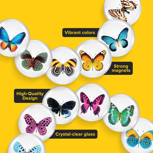 Super Cute Fridge & Locker Magnets – 10 Vibrant Glass Magnets – Strong Hold for Photos, Notes, Recipes, Aesthetic