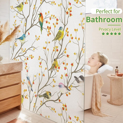 DKTIE Window Privacy Cling Film with Installation Tools - Non-Adhesive Frosted Bird Coverings for Bathroom