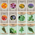 Medicinal Herb and Flower Set - 12 Varieties of Non-GMO & Heirloom