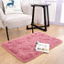 Entrance,2x3 Noahas Fluffy Blush Rugs for Bedroom Girls,Door Mat Indoor Shaggy Small Non-Slip Entryway Entry Area