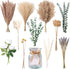 RoseTalk Faux Flower Arrangement with Vase, Center Pieces Decoration for Table, Pampas Grass Floral Dcor, Thanksgiving