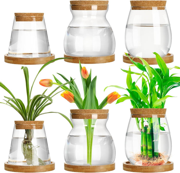 Beeveer 6 Pcs Plants Propagation Station Separated Desktop Plant Terrarium with Wood