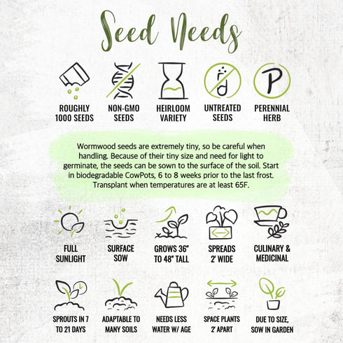 (1 Pack) Seed Needs Wormwood Seeds for Planting - Non-GMO, Heirloom & Untreated Perennial Herb - Medicinal Herbs