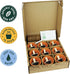 9 BUZZY Seeds Apothecary Garden Wellness Kit with Varieties of Non-GMO Flower and Herb Seeds, Terracotta Pots, Growing