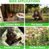 Bittesnew 16 600 Inches x Chicken Wire for Floral Arrangements, Green Chicken Wire, Hexagonal Galvanized Wire Mesh