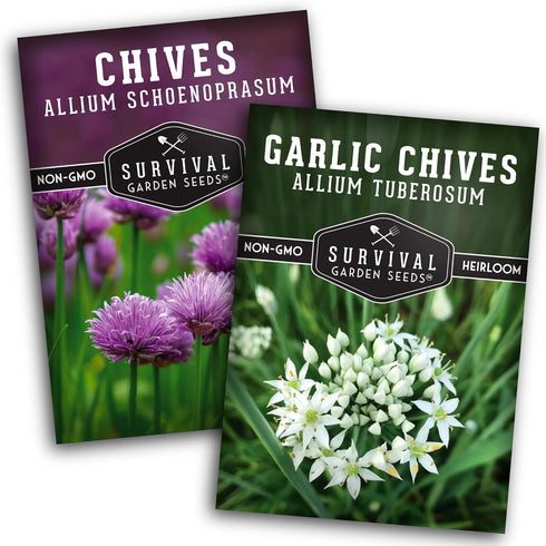 Chive Seed Collection - Common & Garlic Chives 2 Packets of Non-GMO