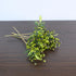 5-Piece Faux Berry Stems for Home Decor - Green Spray Branches