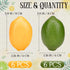 12pcs Gresorth Yellow & Green Artificial Lifelike Simulation Lemon Fake Fruit Home Kitchen Cabinet Decoration