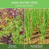 Survival Garden Seeds - Asian Vegetable Collection Seed Vault for Planting - Thai Basil, Napa Cabbage, Canton Pak Choi