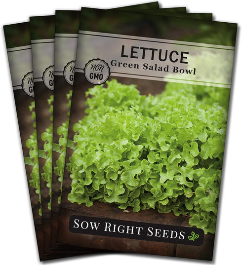 Sow Right Seeds - Salad Bowl Green Leaf Lettuce Seeds for Planting