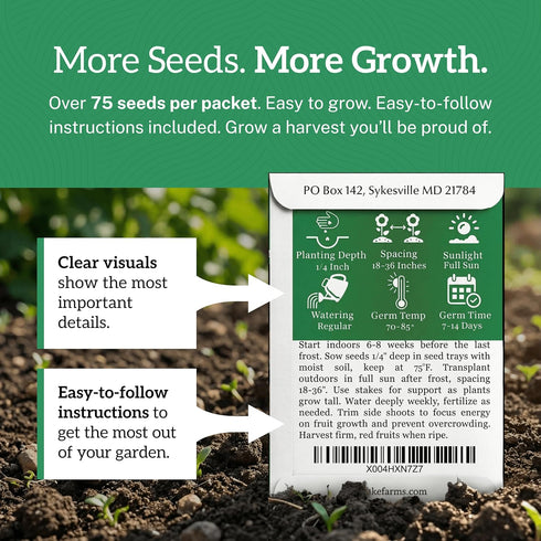 75+ TKE Farms & Gardens - Beefsteak Tomato Seeds for Planting, Heirloom Non-GMO Variety, Grow Large Juicy Slicing