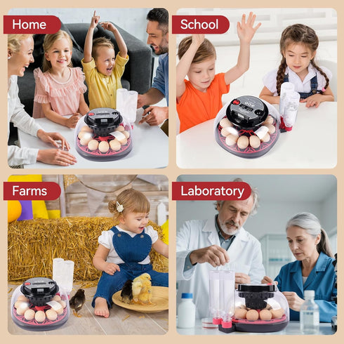 12 360 Egg Incubators for Hatching Eggs, Chicken Egg Incubator with Automatic Egg Turning and Temperature Humidity