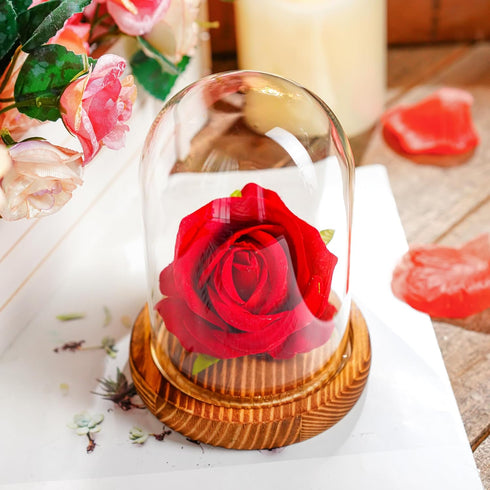 5.1" 3.9" ZEERSHEE Small Cloche Glass Dome with Wooden Base, Glass Display Dome Bell Jar for Plants, Keepsakes