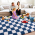 5x7, Checkered Rugs for Bedroom, Ultra Fluffy Fuzzy Shag Area Rug for Living Room Modern Plush Soft Upgrade Non-Slip