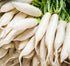 Axel's Garden Seeds Radish Seeds for Planting Non-GMO Heirloom Organic Vegetable Seeds Full Instruction Packets
