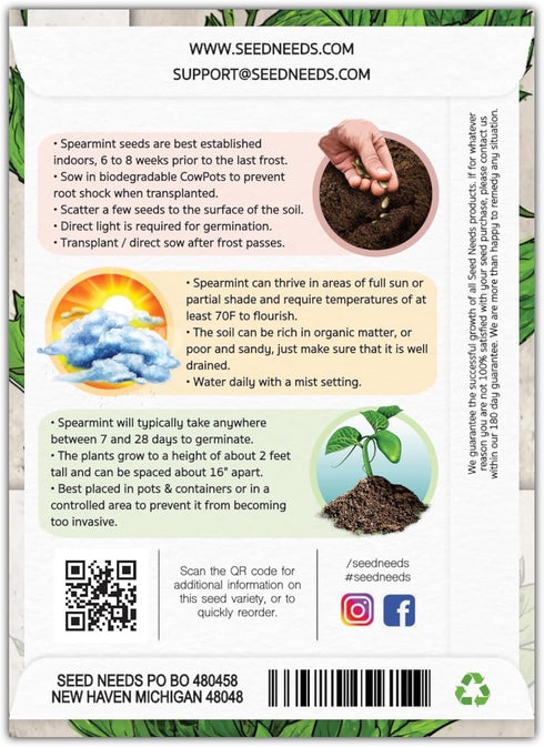 (1 Pack) Seed Needs Mint Seeds for Planting Spearmint Herbs - Non-GMO Heirloom & Untreated Perennial Herb Seed to Plant