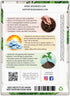 (1 Pack) Seed Needs Mint Seeds for Planting Spearmint Herbs - Non-GMO Heirloom & Untreated Perennial Herb Seed to Plant