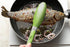Premium Silicone Cooking Tongs Set of 2, 9-Inch & 12-Inch, BPA Free Non-Stick Stainless Steel BBQ Grilling
