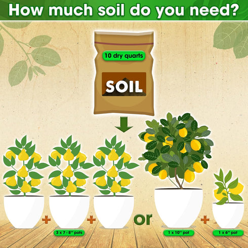 4-in-1 (10 DUSPRO Recycle Citrus Tree Potting Soil Mix for Potted Lemon Tree, Specialized for Oranges, Fruit Tree