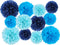 12 Pcs Tissue Pom Poms Kit, Tissue Paper Flowers for Birthday, Baby Shower, Graduation, Bachelorette Party Decoration