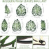 7 Namalu Pcs Tropical Wall Decor Jungle Monstera Wall Art Boho Palm Leaf Wooden Decoration Tropical Nursery Decor