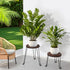 2Pack 11.81IN Yangbaga Wooden Plant Stands Indoor: Round Planter Stands with Metal Legs,Mid Century Planter Holder