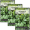 Sow Right Seeds - Bloomsdale Spinach Seeds for Planting - Non-GMO Heirloom